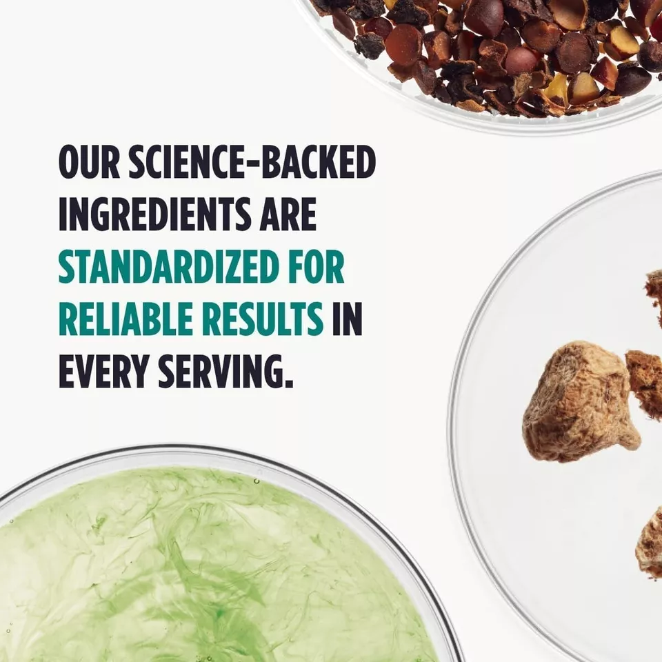 Nutrafol Men's Hair Growth Supplement, 3-Month Supply, Dermatologist, Pack of 3 - Image 9